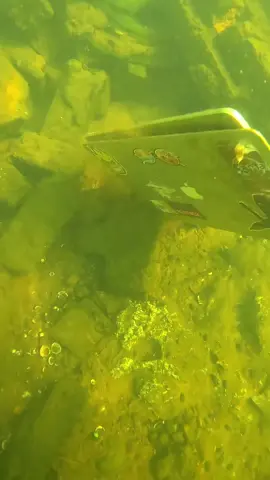 Found a MacBook computer in the river! #scubadiving #scubadiver #scubadive #scuba #rivertreasure #scubajake #dallmyd #apple #macbookpro #macbook 
