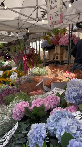 Columbia road flower market🌻🪴💐 #columbiaroadflowermarket #london #thingstodoinlondon 