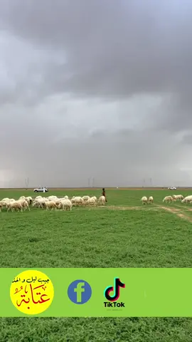 عبالي القمر غاب وظلمه دنيانه اثاريها عليك العين عميانه  #عزيز_الجبوري #شعر #عتابة #ربابة #الملا_ضيف_الجبوري #explore 