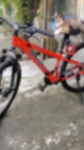 jelly model sepeda ontel#foryoupage #soschallenge #challengeberhadiah #peliharanlucu #sweetofficialshop @sweetofficial.petshop 