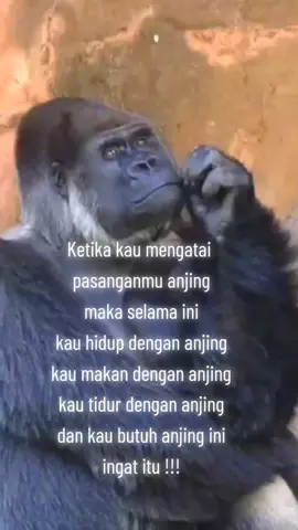 hati-hati dengan ucapanmu#story #storywa #flks #lelah #fypシ 
