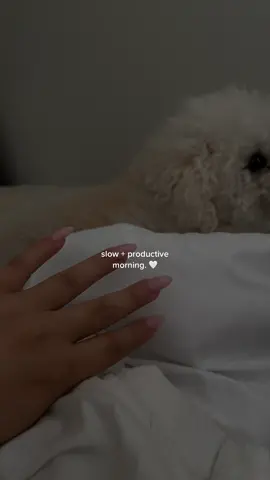 happy Saturday beautiful people 🤍 #earlymornings #morningroutine #slowmorning #morningvlog #productivity #girlie #softgirlera #selflove 