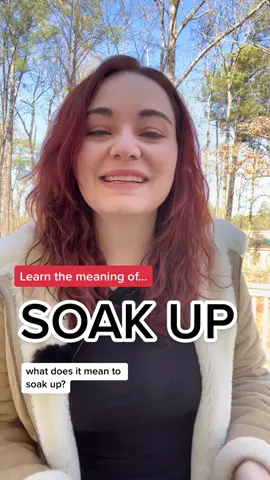 Learn this fun #phrasalverb ☀️ to SOAK UP 😎 #teacheramy  #phrasalverbs📚 #phrasalverbs #englishidioms #englishexpressions #learnenglishdaily #modismoseningles #ingilizceöğretmeni #americanenglishteacher #americanenglish #ingles #aprenderinglés #inglesnotiktok #studyenglishathome 