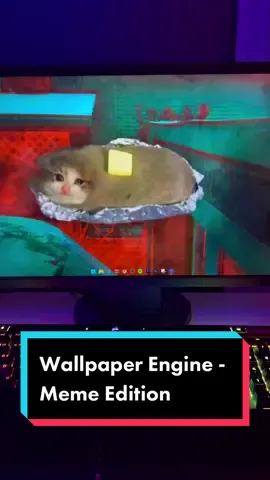 Wallpaper Engine - Meme Edition  #memewallpaper #memestiktok  #livewallpaper #zeynion #wallpaperengine 