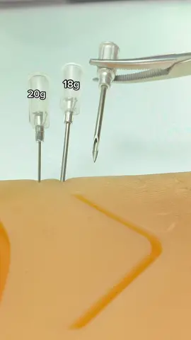 Take a look at the needle sizes the higher the needle gauge (g) the smaller the needle and the lower the gauge number the bigger the needle.  . #vet #vetmed #vettech #needle #medical #size #closeup #fyp #fy #fypシ #interesting #satisfying #nurse 
