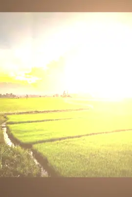 #AdaCintaAdaKitKat #SultanMakanSoNice #GenshinImpact34 