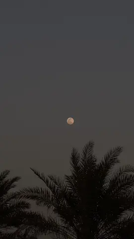 They met.                                                               #fyp #sun #moon 