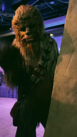 Chewy offered me a job 😹 #fypシ #starwars #GetCrackin #disney #beard 