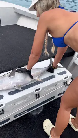 Guess how long the Long Tail Tuna is? #fishing #tuna #tunafishing #sashumi #sushi #sushilover #sushilovers #bigfish 