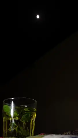 المحبه زايله والليالي ما تدوم ‏لاتعلق نفسك بناس بكره راحله . #تصميم_فيديوهات #اكسبلور_تيك_توك #قصيده #فلاح_المسردي #تصويري📸 