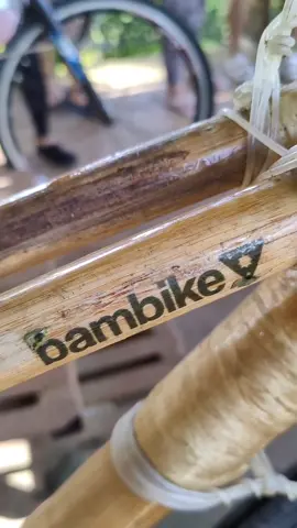 Bamboo Zip Bike at Ugong Rock #puertoprincesapalawanph #palawan #ugongrockadventure #bamboo #zipline #travelph #Vlog #fyp #wheninpalawan 