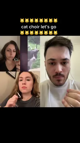 #duet with @cassie myow 🐱 #meow #remix #cat #lol 