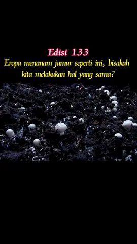 Fokus pada pertanian, fokus pada kehidupan#kehidupan #pertanian 
