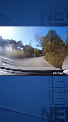 Ahah ahah!#dashcam #carcrash #caraccident #fyp #viral #satisfying 
