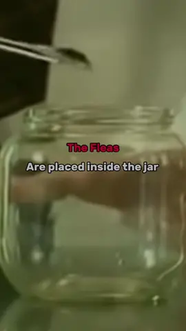 Don’t be inside the jar… Jump out.  #viral #business #weathymindset #motivational #rich 