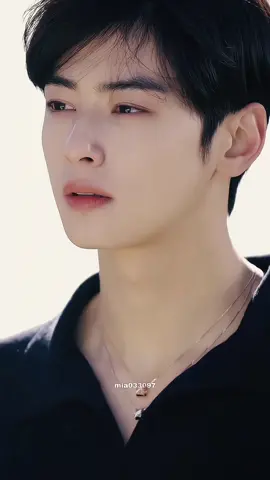 Gen con chúng ta, em không phải lo đúng không Cha Eunwoo :)))) #chaeunwoo #차은우 #chaumet #bestvisual #facegenius #viral #xuhuong #fyp #mia033097 