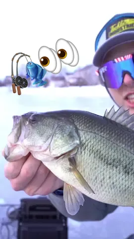 This fish eating on Livescope was INSANE 👀🔥🎣 #fyp #foryou #foryoupage #fishing #fisherman #fishtok #icefishing #fishingrod #viral #fishinglife #fishcontent #fishingtiktoks #angler #follow #funny #xyzbca #bassfishing #largemouthbass 
