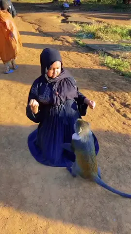 #somalitiktok#funnyvideos#😂😂 