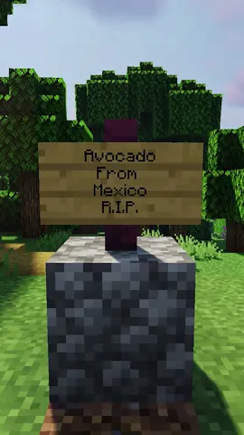 Avocado rip 😢😭 #Minecraft #майнкрафт #mrbeast