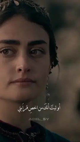 الحلقه 1ياليت انك من عموم قبيلتي #شعر #عرب #فصحى #قيامة_ارطغرل #المؤسس_عثمان #aqel_sy #syria #حب 