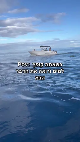 אוהבים לשחות עם החיה הזו? #מאוריציוס #דולפינים #חופשה 