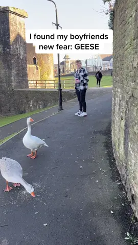 I can’t stop laughing 😂 #fyp #foryou #couple #scared #prank #viral