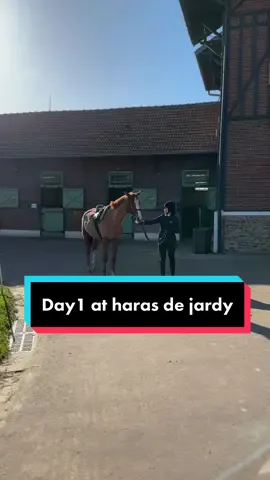 Day 1  ! 😍🪄 and i did it !! #horseriding #paris #versailles #harasdejardy 
