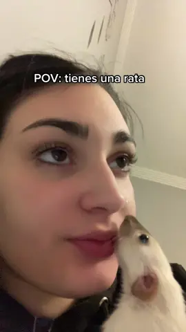 y asi cada dia