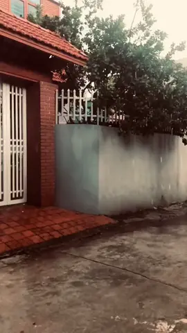 Từng hạt tuyết rơi đi khóc cho nơi đây anh lẻ loi…😊 #xuhuong 