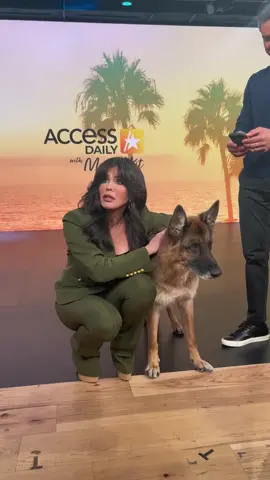 Today on Access Daily, I meet the WORLDS RICHEST DOG!!💰💵 No joke, Gunther here is worth half a billion dollars! You’re going to want to check this out!  #accessdaily #netflix #marieosmond #mariolopez
