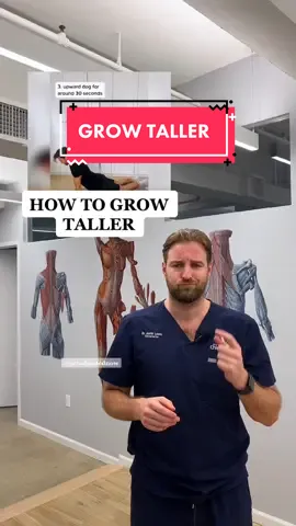 Here’s how to appear taller with these two simple stretches 😊🫶🏼 These stretches can help stretch out your back and spine making you seem taller #howtogrowtaller #backstretch #growtallertips #GetAdjustedNow #NYCchiro #LearnOnTikTok 