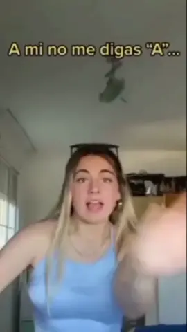 NO LE GRITES A RICARDO!! #elbananero #aminomedigasa #ricardo #sapee