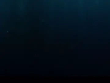 This scene was so holesome🫠 #siren #sea #rock #horizen #mermaids #sirens #sirensong #underwater #sisters #donnasiren #rynsiren #scene