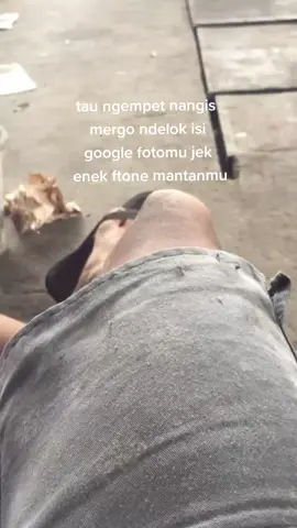 hoalahh 🙂#wongsepele😔 #sepelegank #asmarakacau🥀 #galaubrutal🥀 #sadvibes🥀 #bahanswmu #StoryWongSepele #StoryJawaSambat #JowoPrideStory #jowopride #jowostory 