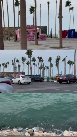 ✨هذي الشرقيه اللي الخير فيها✨#explore #foryou #fyp #اكسبلور #الخبر