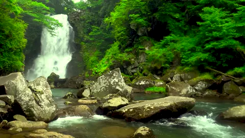 relakasasi suara alam, waterfall, suasana alam yang tenang #flks #wisataalam #waterfall #aliranair #gemericik #sungai #suaraair #fypシ゚viral #instrument #relaxing #spa #musikrelaksasi #terapia #relaksasipikiran #relaxingvideos #relaksasi #suaraalam #fyp #suasanaalam #musikromantis 