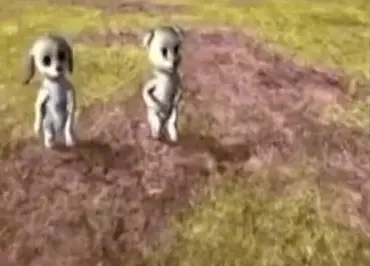 Dancing dogs #dancingdogs #dogs #meme #dancing #funny #random #fyp #fpyシ #doggydance 
