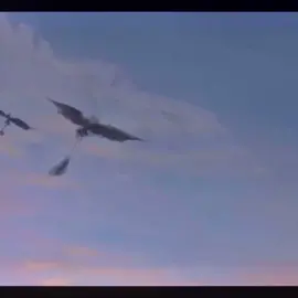 😏#fyp #perte #foryou #dragontrainer #hiccup #toothless #edit 