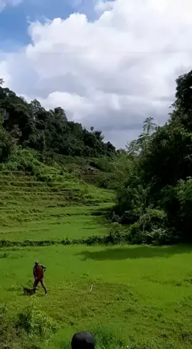 asa lai basaba #porbi_sumbar #porbi50kota #porbiagambukitingi #bujanggadihparenten