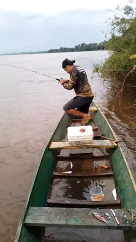 #fypシ #peixe #pintado #pescaria #natureza #brasil #amazonia 