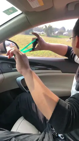 #catapult #slingshot #foryou 