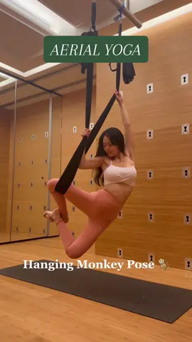 Middle Split to Hanging Monkey Pose ❤️ Do I really look like a hanging monkey in that pose? 🤣🐒🐵🙈🙉🙊 This is one of the favourites that I learnt from my teacher @sandyswf 🥰 There’s so deep stretch at the side body when you hang on the hammock and swing side to side. Instead of performing yoga poses on a mat, Aerial Yoga utilizes a silk hammock or sling that is suspended from the ceiling to perform those same movements. The purpose of the hammock is to provide support through your yoga flow, while also improving flexibility and range of motion. Today is my last day. Thank you for joining us everyone. I am sorry once again to my beautiful cohosts and my sponsors for such a delay!  Wearing my pink pants from @joy2fitt.yoga 🥰🙏🏻 #YogisFlowThroughWinter Jan 27-31  Line-up: 1. Plank pose 2. Revolved Chair pose  3. Boat pose  4. Headstand  5. Build heat Flow ❤️ Hosts: @sofiagarcia_yoga @jiminyoga @milicarad84 @jacquimoves_ Sponsors: @baheyoga @kinandally @vyanayogadesign @circe_yoga @joy2fitt.yoga  . . . #aerialyoga #yoga #yogainspiration #middlesplits #middlesplit #hipopener #hangingmonkey #aerialyogateacher #aerialyogaflow #yogafun #yogastretch #armbalance #aerialhammock #yogasingapore #yogainspiration #fitnessmotivation #fitsporation #yogagirl #플라잉요가 #플라잉요가강사 #요가 