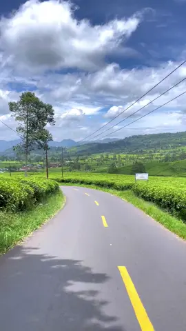 Enaken pisan klo pake lagu sunda🥰🍃