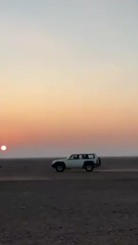 - الون ماسي مقدمة شبه الطير .  - شيهانه تقنص فجوج الوسيعات . #فتك #اكسبلور #الجديد : #trend #explore #الشمال 