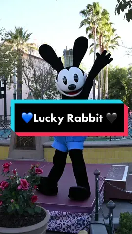 💙🖤 hbd DCA #themeparks #dca #disneycharacters #absolutelegend  #californiaadventure #oswaldtheluckyrabbit #fyp #oswald #disneyscaliforniaadventure #visitanaheim 