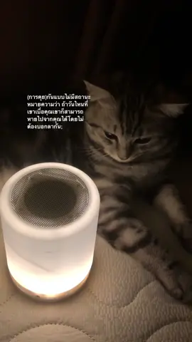 #แมว #แมวน่ารัก #เธรดเพลง #เธรดความรู้สึก #เธรดคนคุย #เพลง #typ 