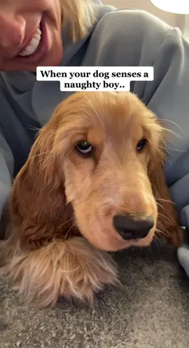 This should come in handy 😭😭😂 #happyvalley #fyp #tommyleeroyce 