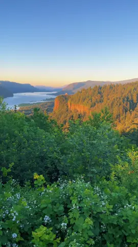 my favorite spot in the gorge #oregon #pnw #fyp #foryou #photography #sunset #columbiarivergorge 