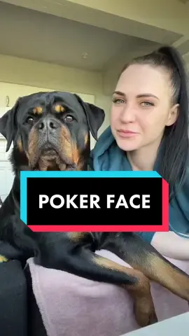 Poker face 😅 #rottweiler #kissing #thatface #pokerface #funnydog #dogsoftiktok #stunning 