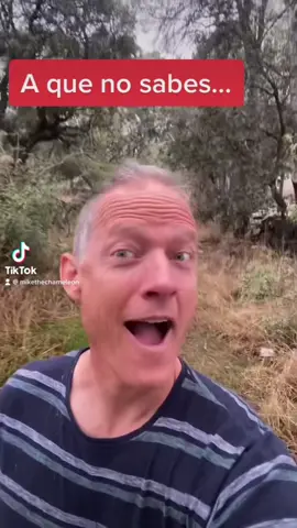 #español #aprende #learnspanish #miketeachespanish 